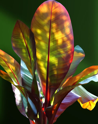 The magic of lights - A Paint Artwork by Katja Lührs